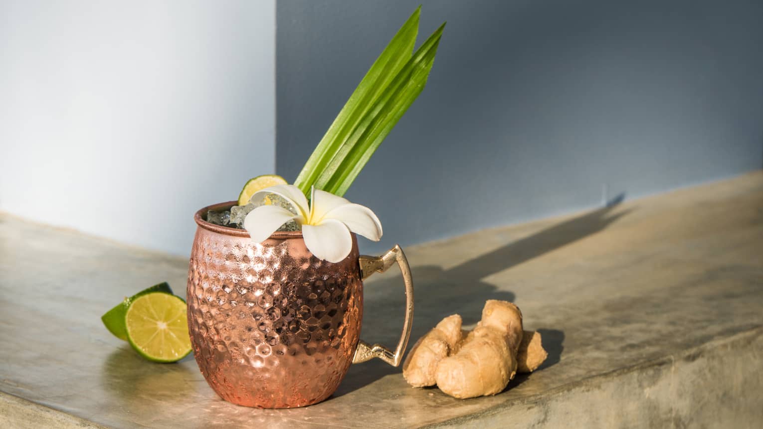 A moscow mule in a hammered copper cup with limes and ginger beside it on a wooden ledge