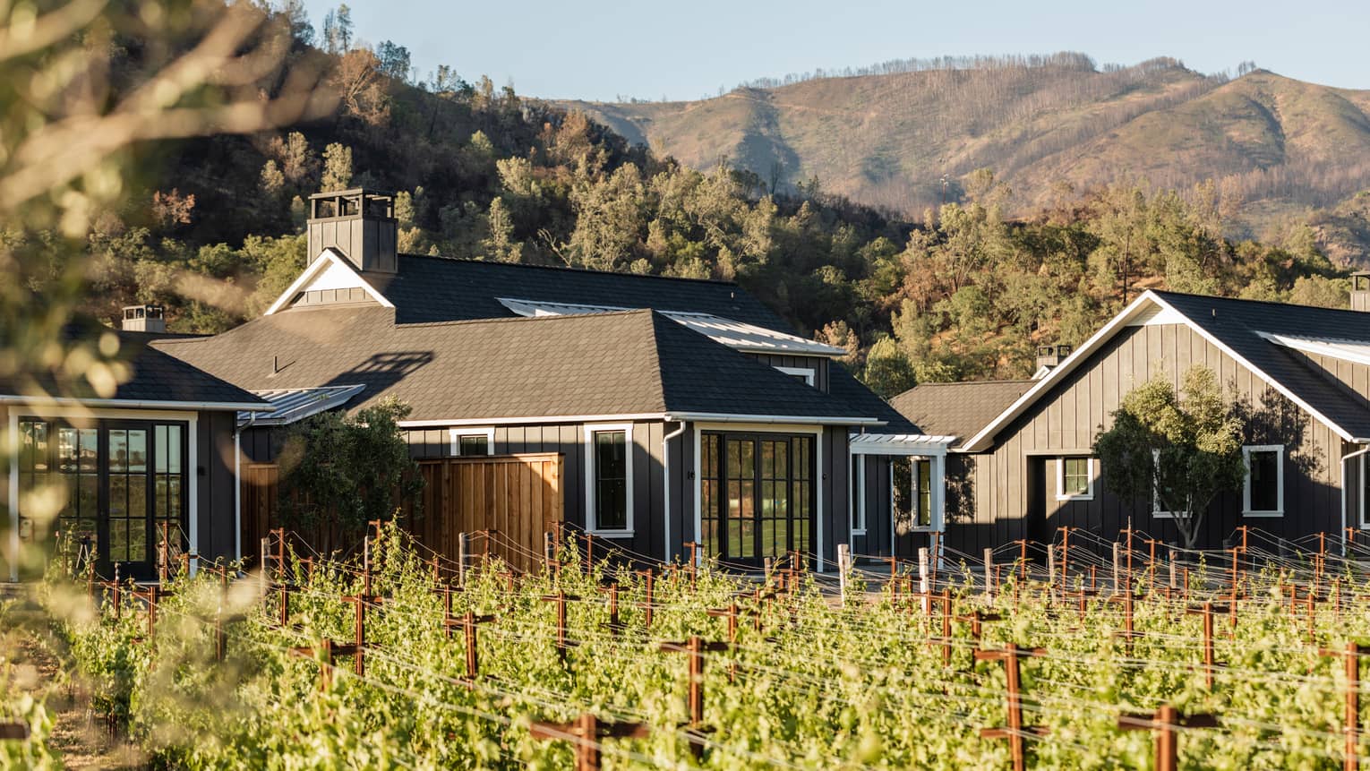 Single family home in wine country, rows of grape vines, mountain views