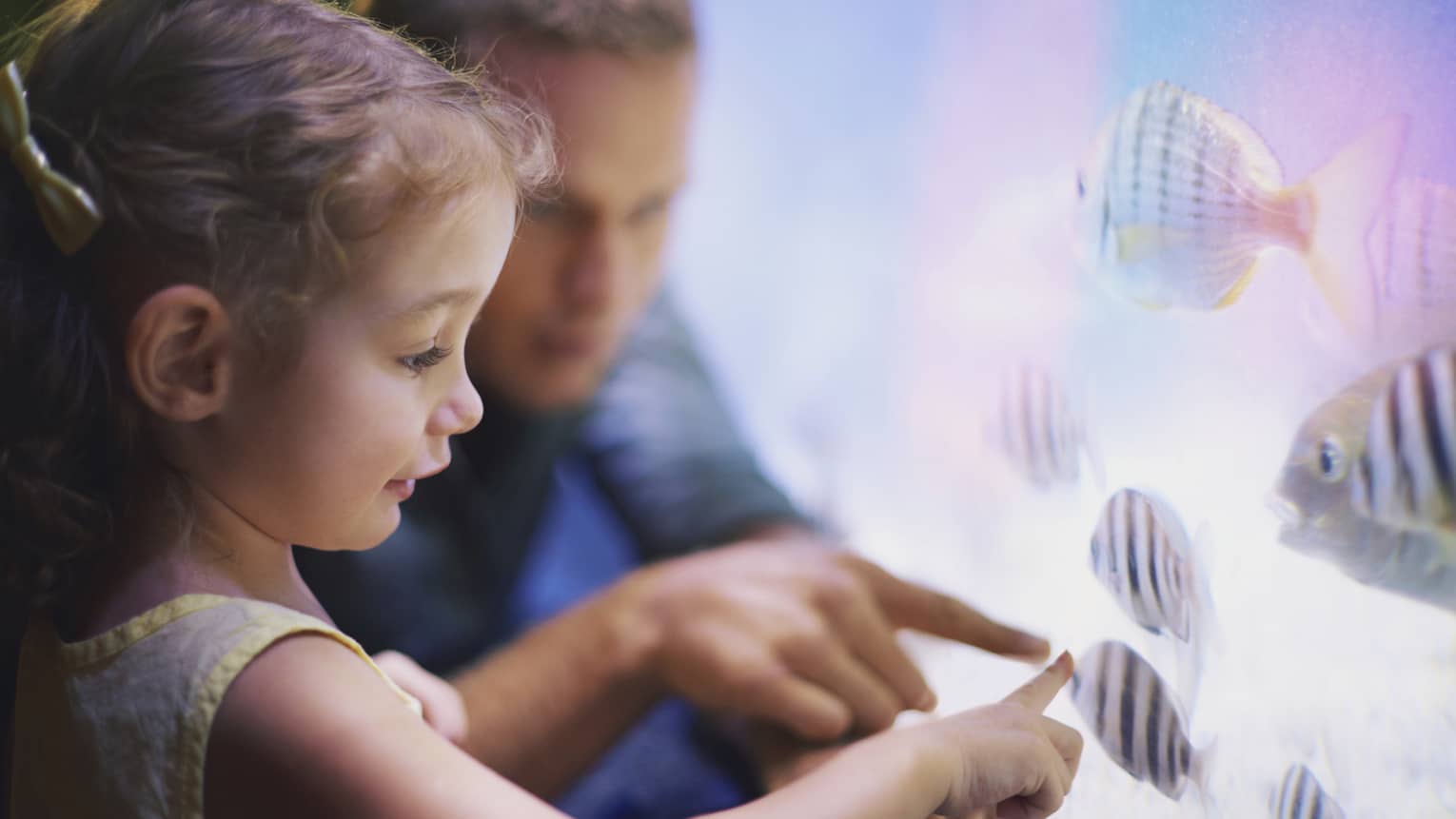 Close-up of man, little girl pointing to tropical fish in tank