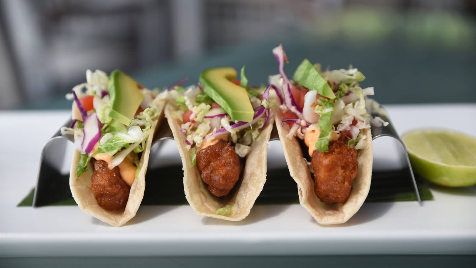 Three crispy tacos in silver stand with fried catch-of-the-day fish, red cabbage, avocado slices, chipotle mayo