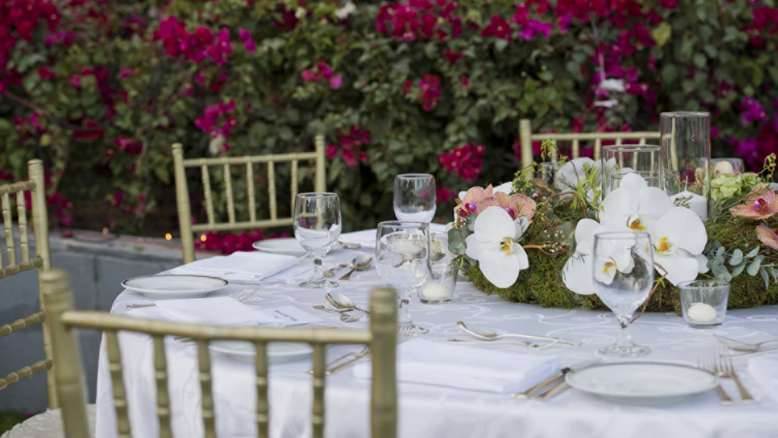 Garden wedding banquet table with white orchid flowers