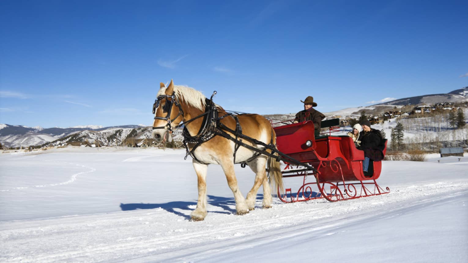 A horse pulling a red coloured sleigh with three people on it through white snow.