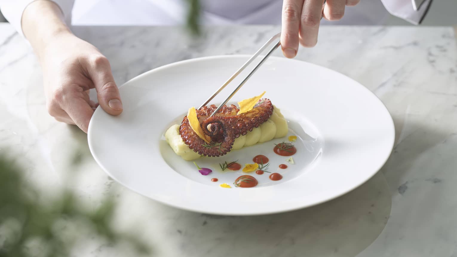 Chef places octopus tentacles in white bowl with kitchen tweezers