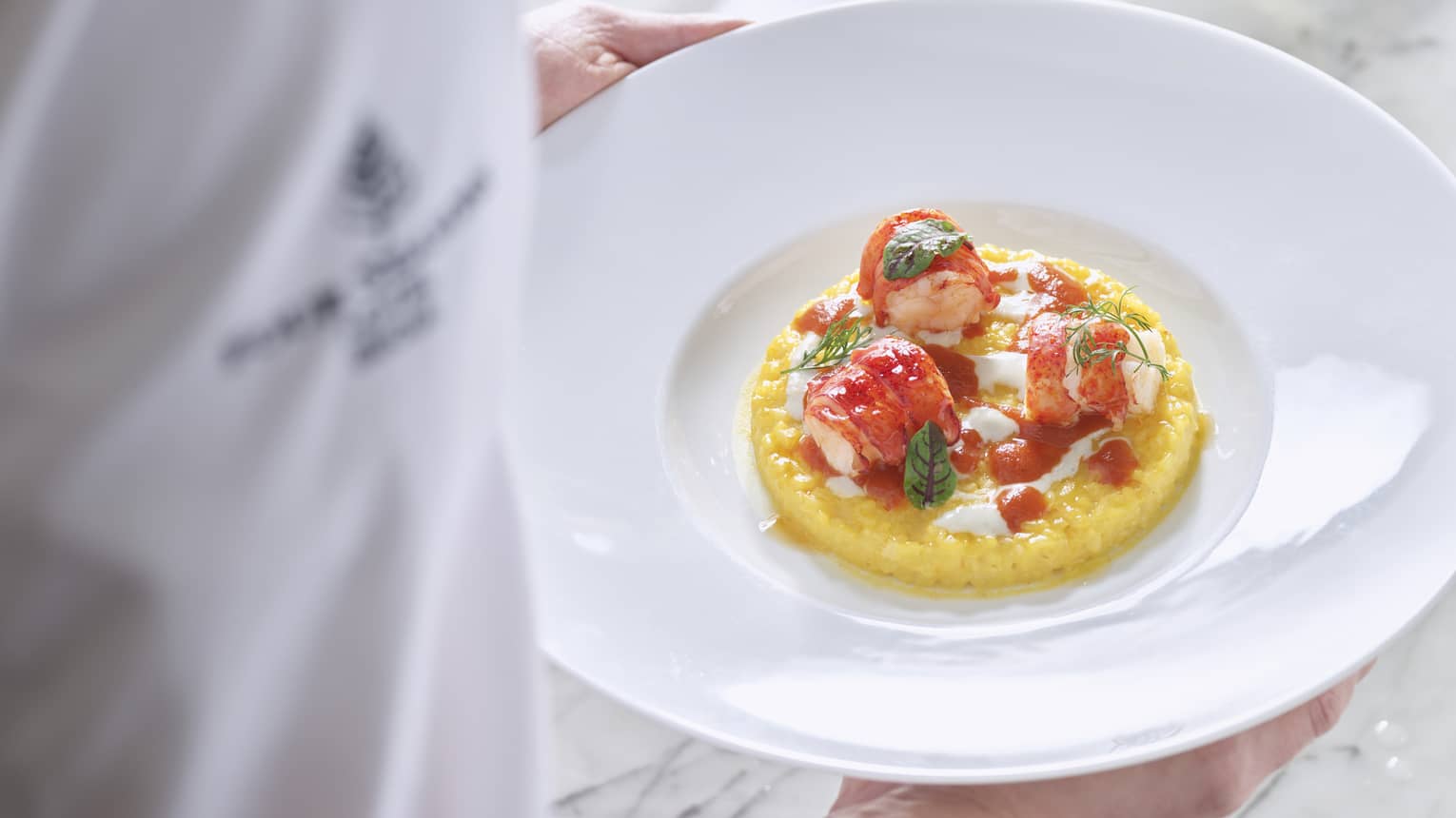 Chef holding white plate with three pieces of lobster with basil and dill garnish on a bed of creamy yellow saffron risotto.