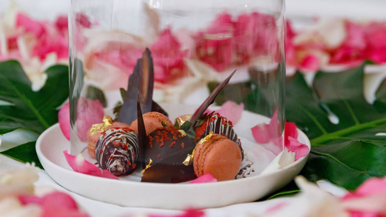 White saucer with macarons and truffles under glass dome, surrounded by pink rose petals