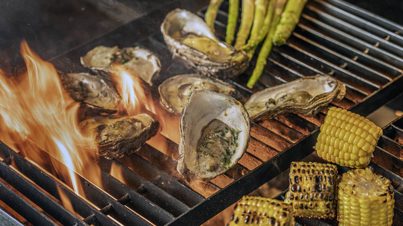 Oysters on the half shell, halved ears of charred corn and stalks of asparagus on an open-flame grill