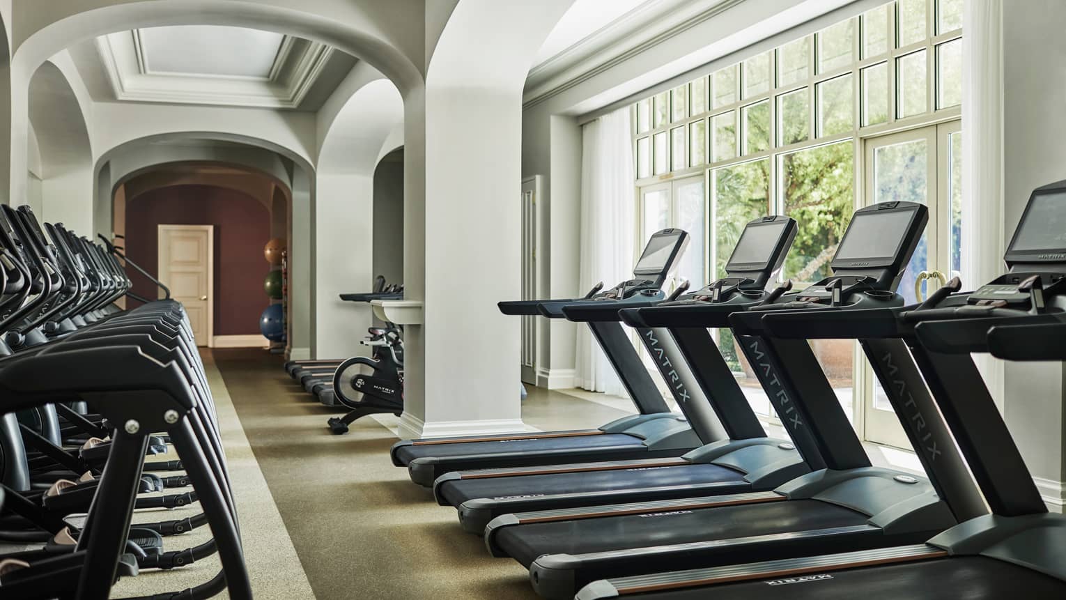 Rows of treadmills under sunny windows in Fitness Centre