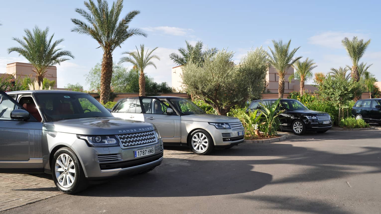 Luxury Range Rover cars with open doors parked under palm trees, blue sky 