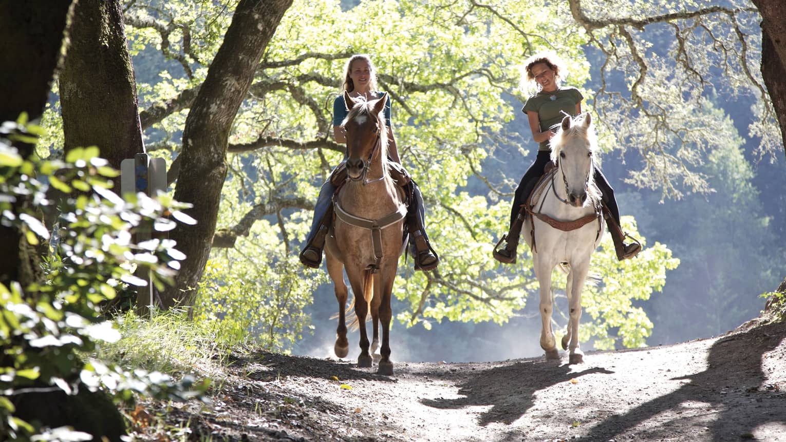 Two smiling women horseback riding on sunny path, one on brown horse and one on white horse