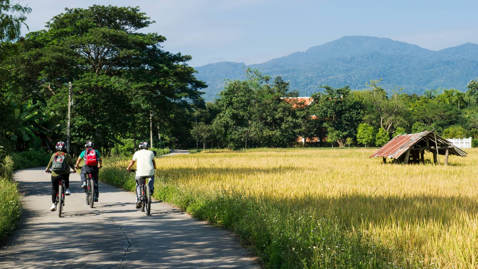 Three cyclists ride down a rural road surrounded by lush greenery and golden fields, with mountains in the background and a small rustic hut to the side.