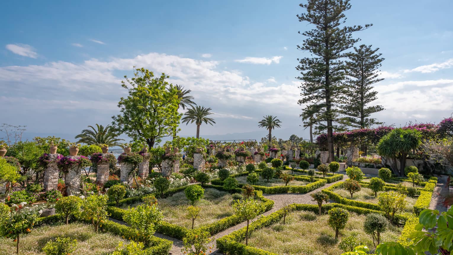 A small garden with paths, hedges and a variety of plant life.