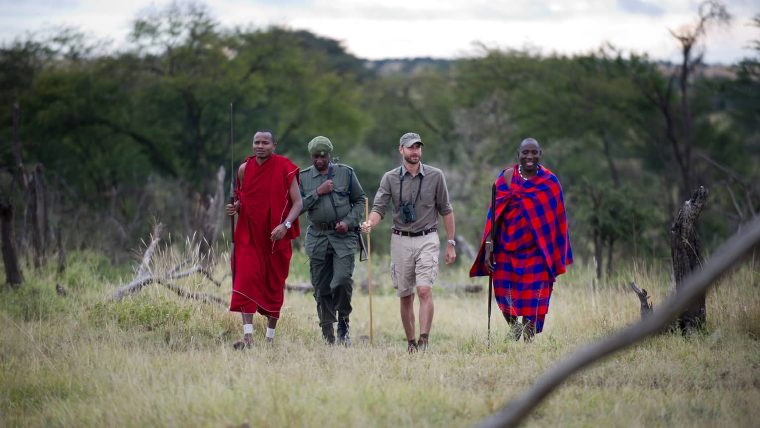 Resident naturalists and Masai guides with walking sticks trek through grass