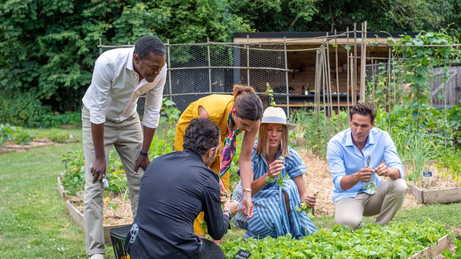 Men and woman examine herbs in a garden with a chef
