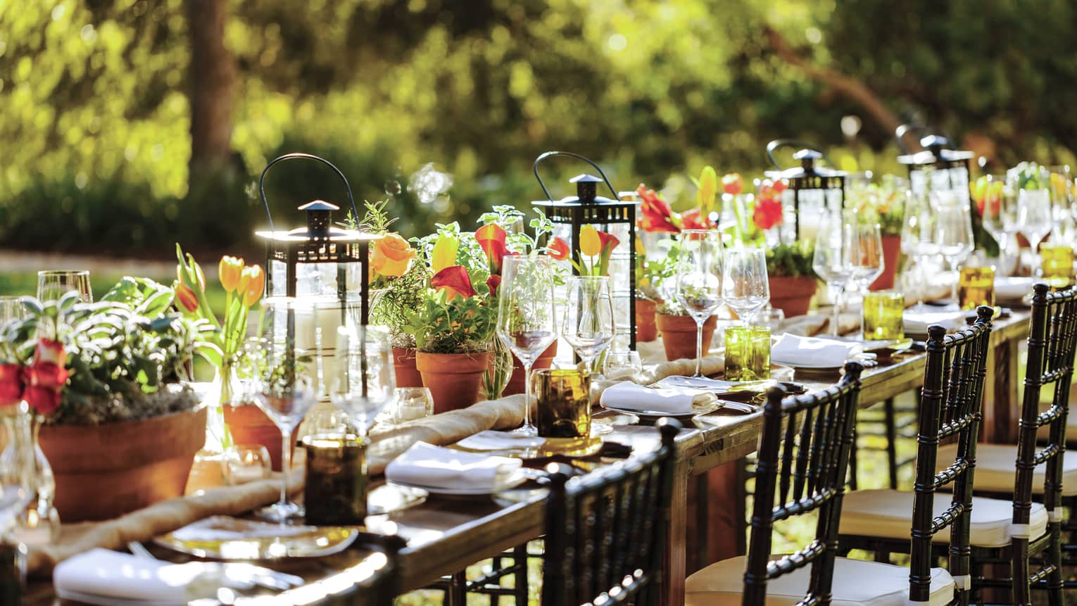 Long outdoor dining table in vineyard set with wine glasses, dishes, large lanterns, flowers