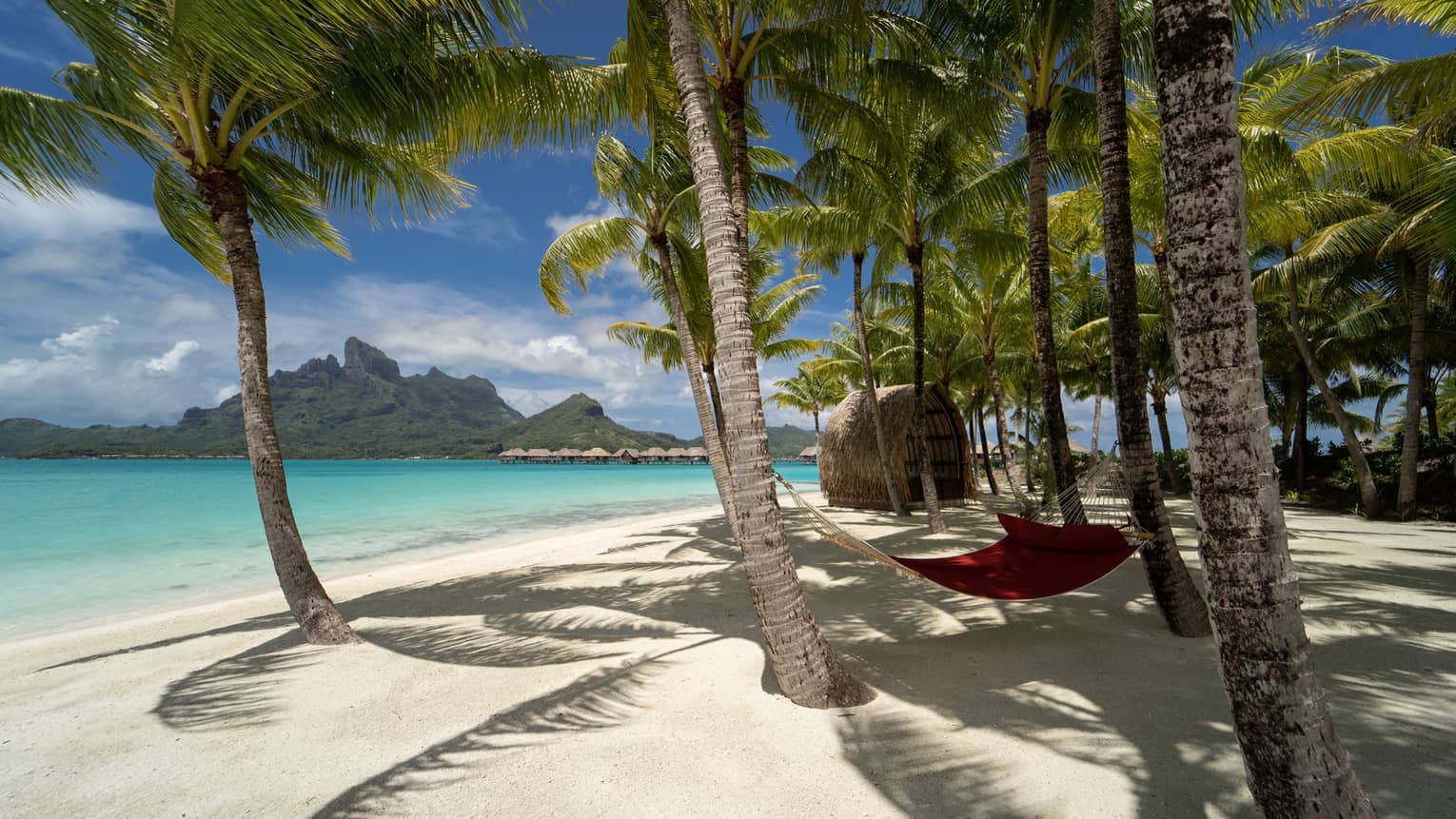 Bora Bora beach with palm trees and a hanging hammock