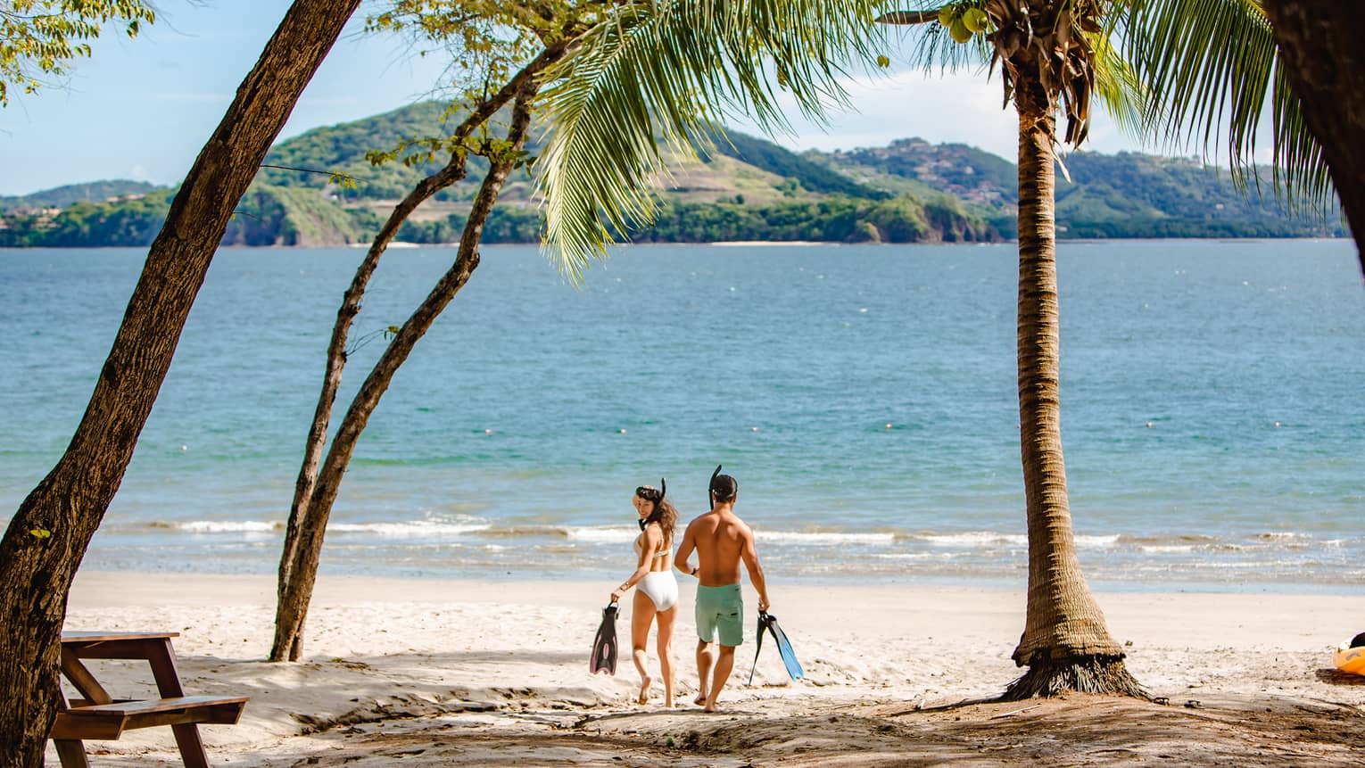 Couple holding snorkelling gear walks beneath palm tree toward ocean