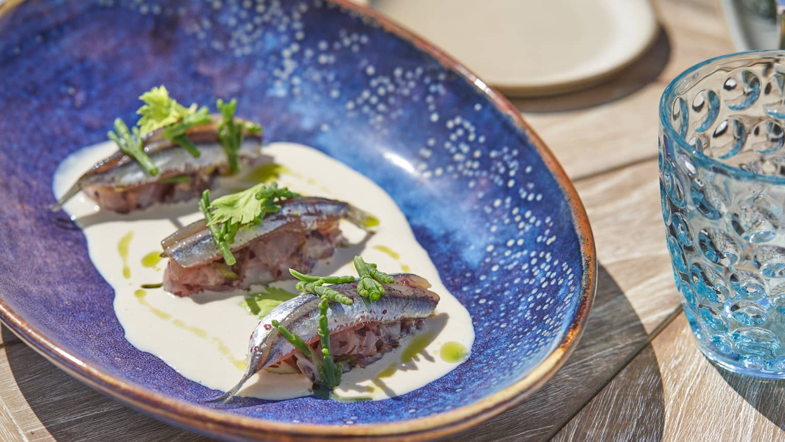 Blue ceramic dish with three sardines in white sauce topped with herbs