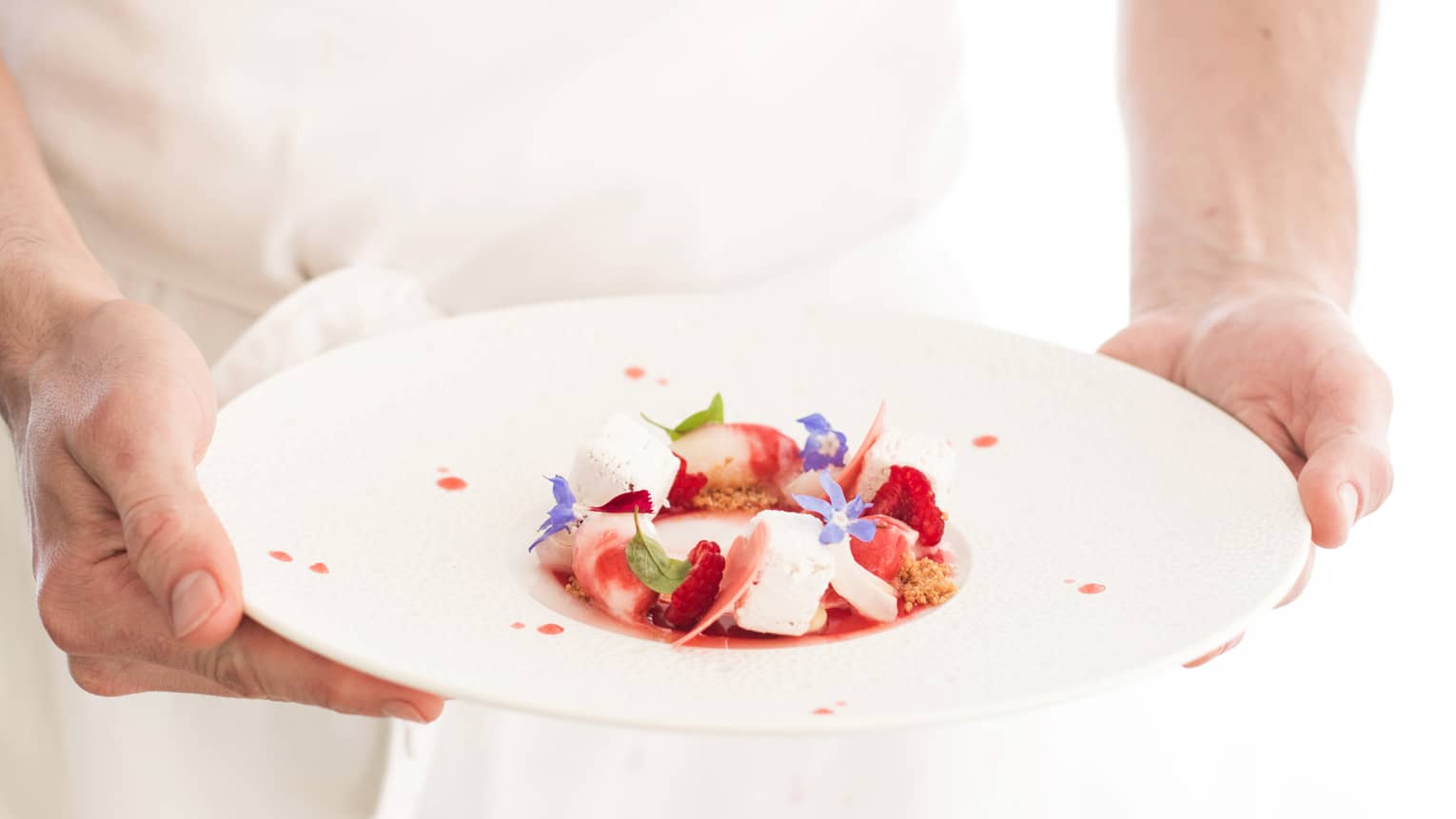Chef holds white dish with gourmet strawberries and cream dessert