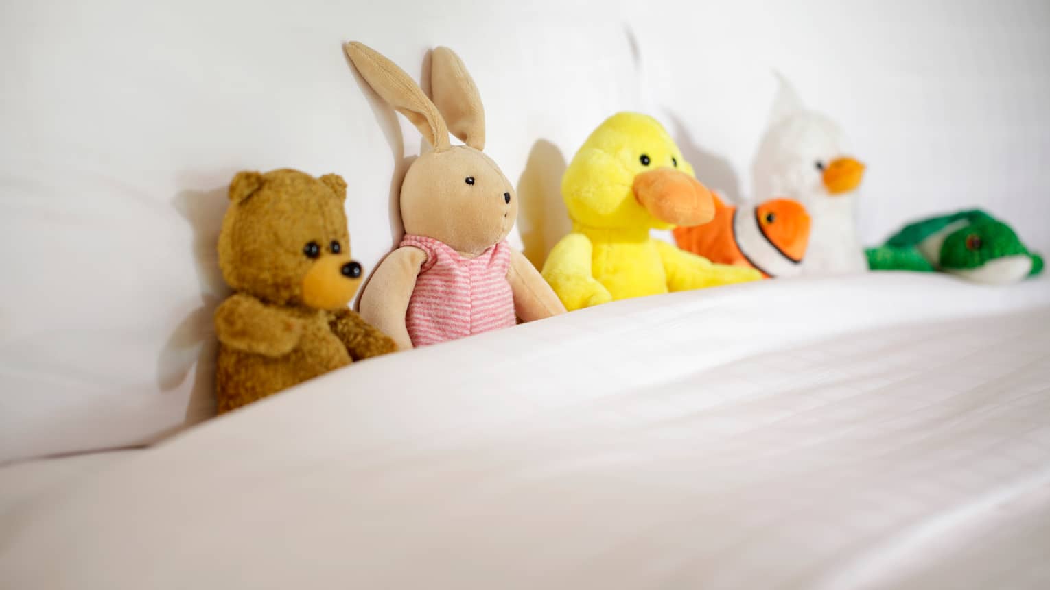 Stuffed bear, bunny and ducks tucked into hotel bed blanket against pillow