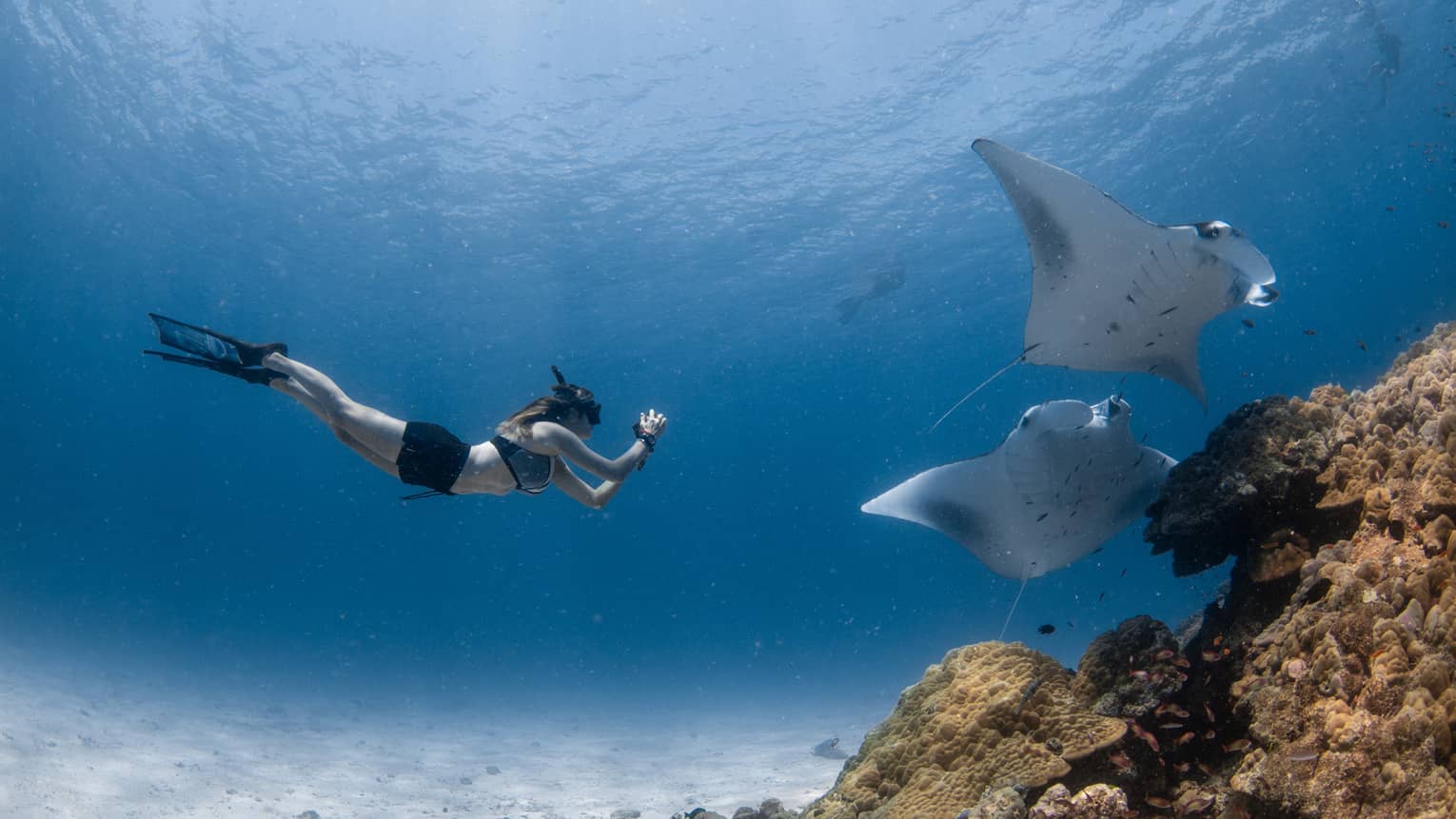 A woman taking photos of sea creatures under water.