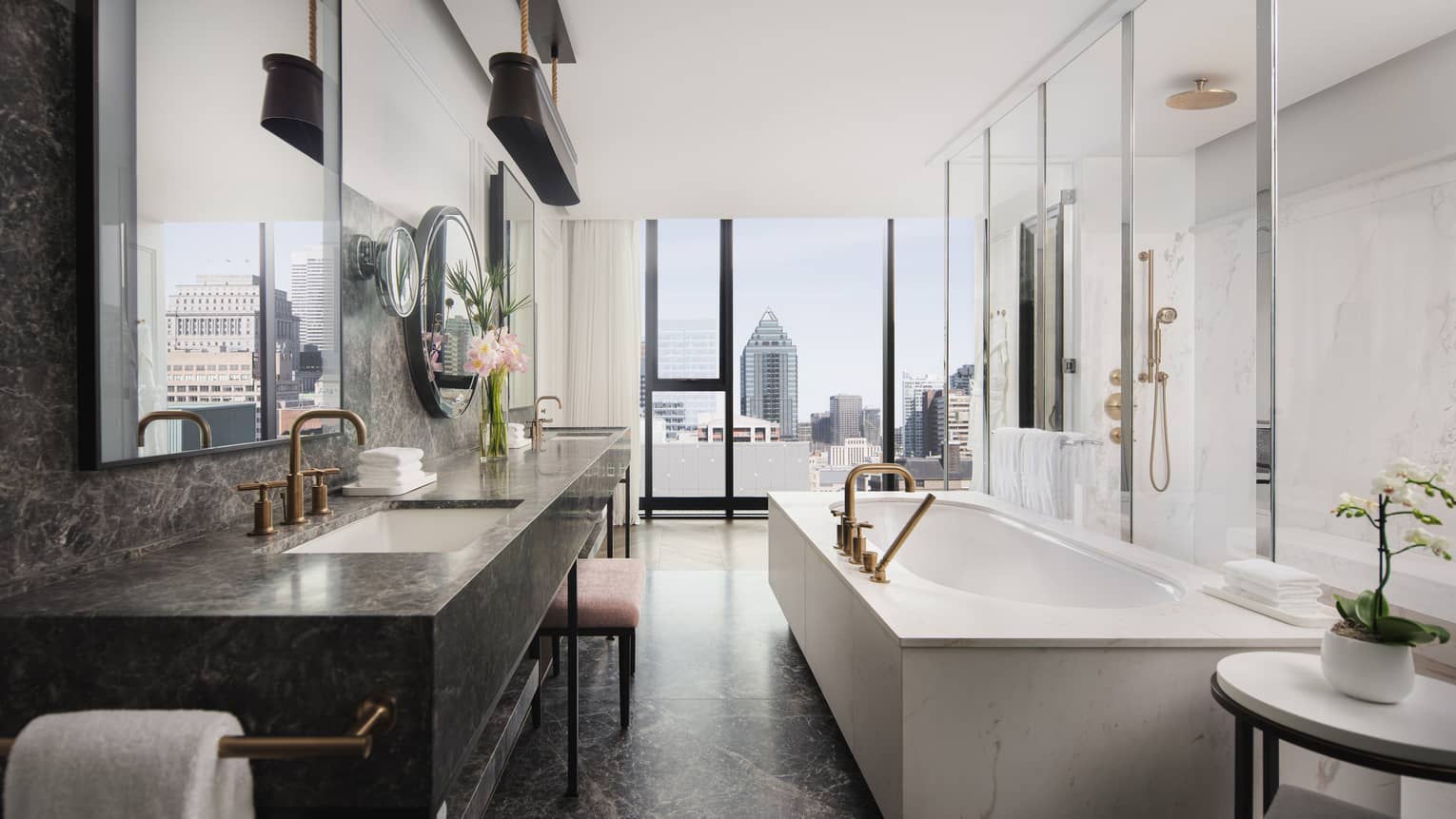 Large master bathroom with tub and glass wall into shower, city view