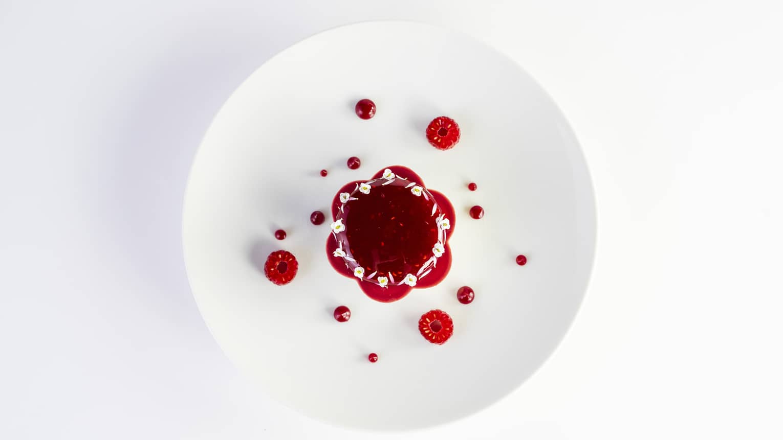 A raspberry dessert on a white plate.