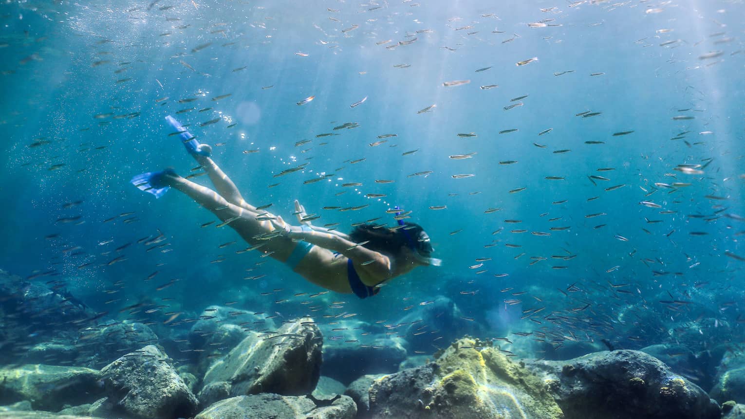 Women with snorkel, mask and fins swims in coral reef among tropical fish