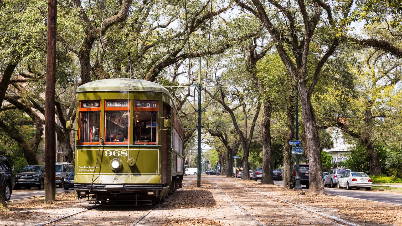 Vintage streetcar on track between trees on New Orleans street