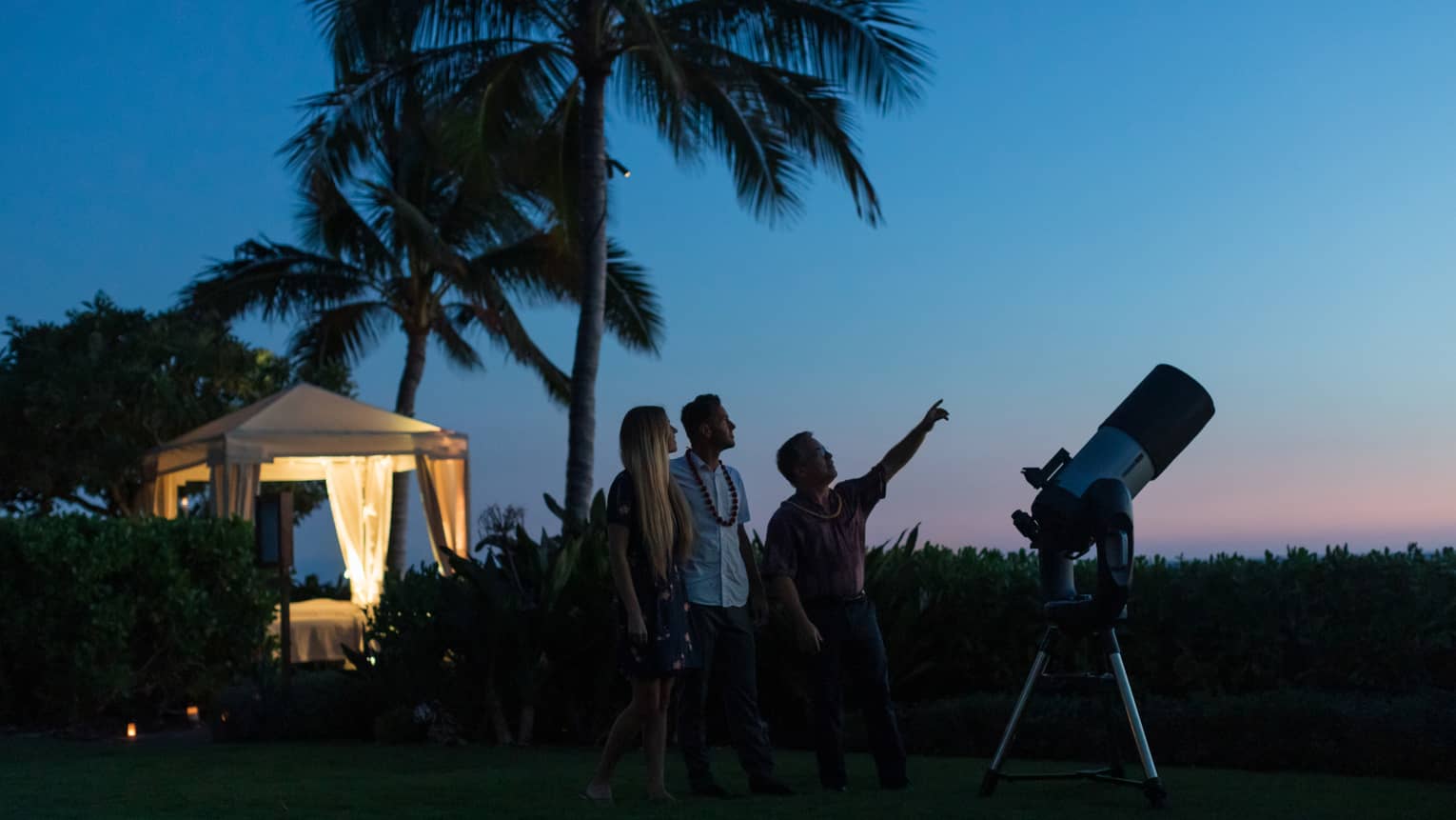 Silhouetted amid palm trees and a telescope, a guide points at the sky as two guests look up, a lit-up gazebo behind them.