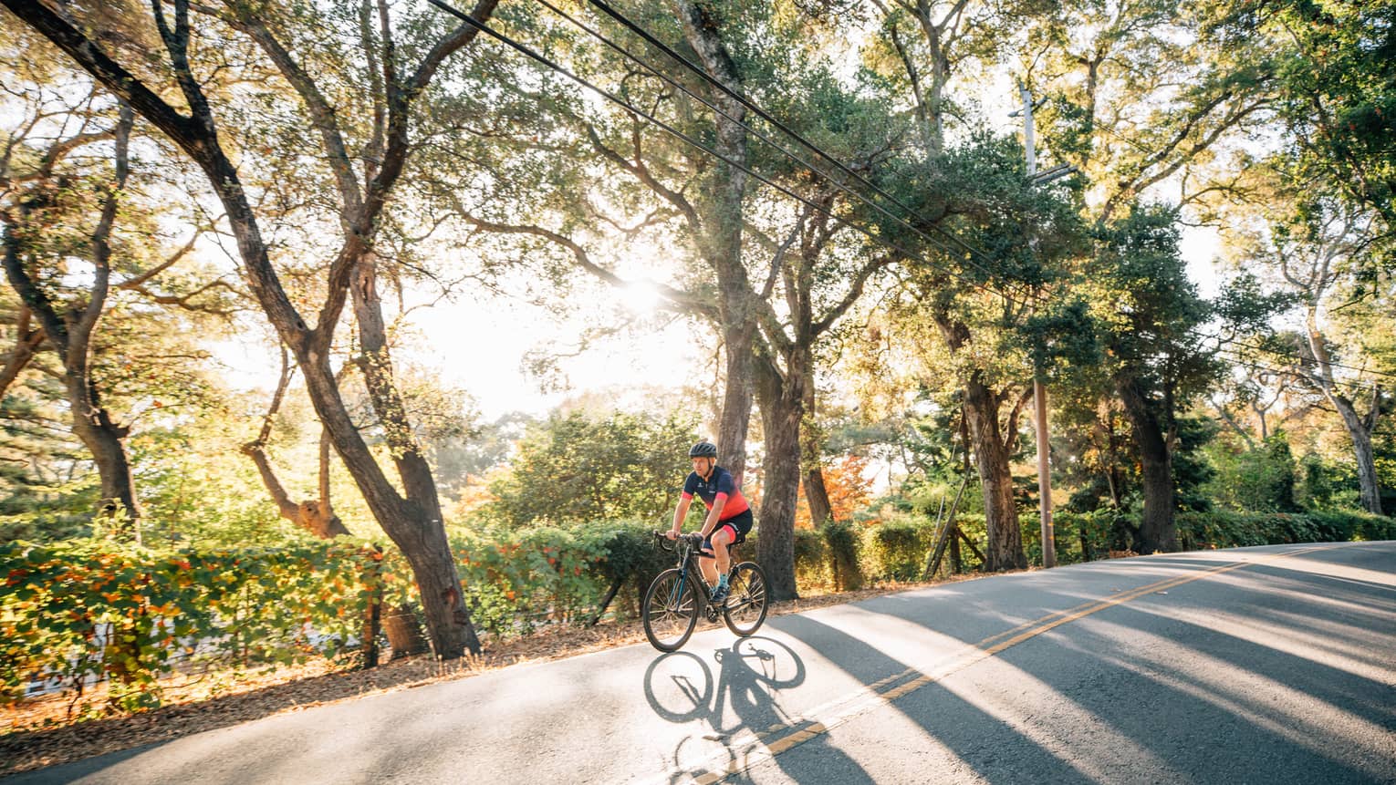 A person on a cycling bike riding along a rode next to bushes and trees.