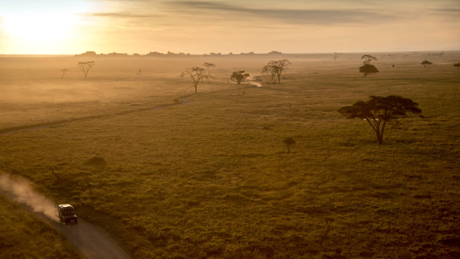 Sunset over Serengeti plains, trees