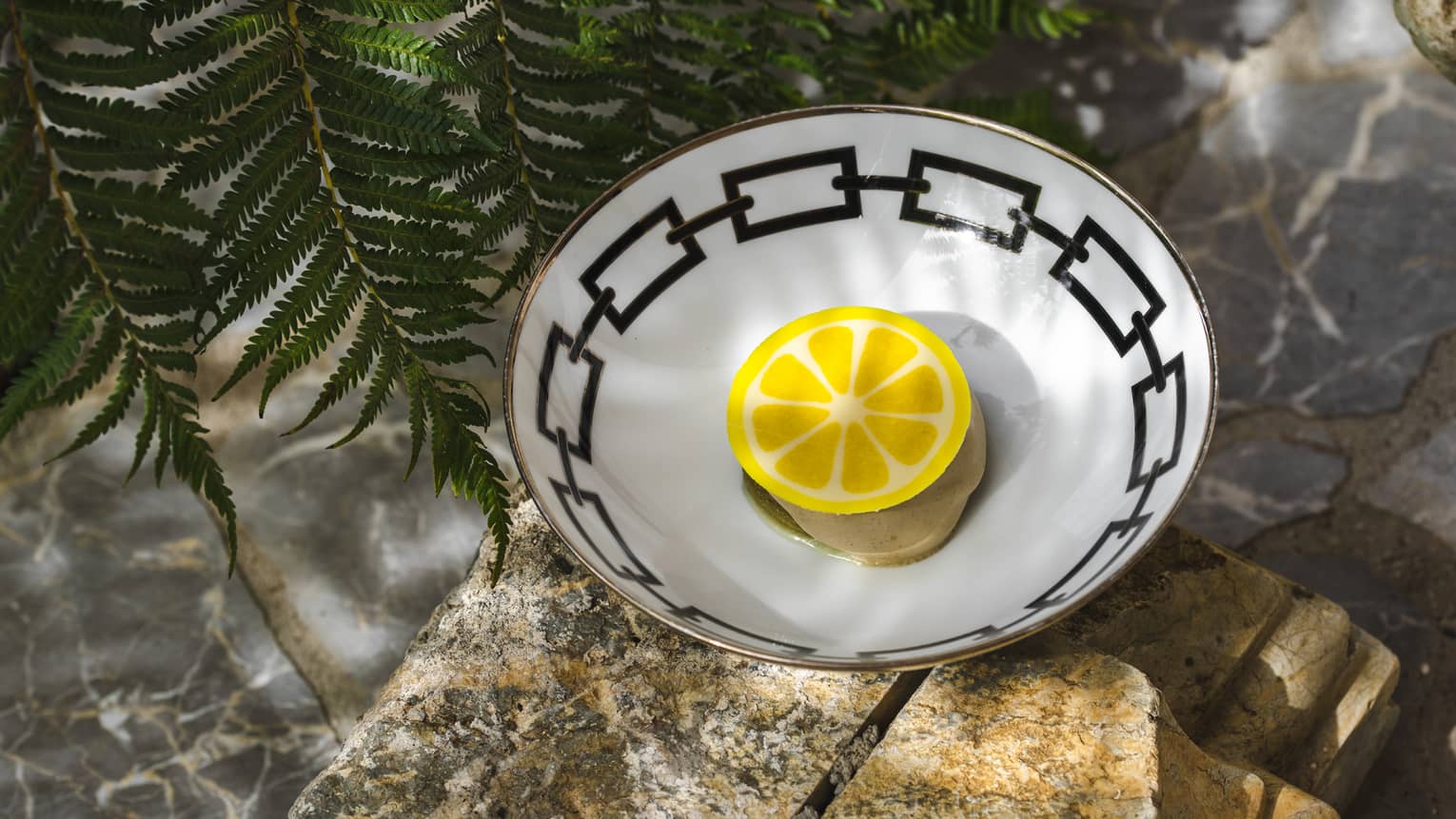 Lemon slice in a white bowl with black rim beside fern