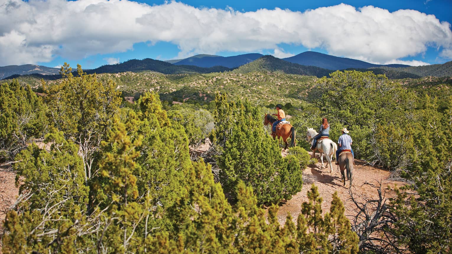 Three people horseback riding through trail, brush on desert mountain