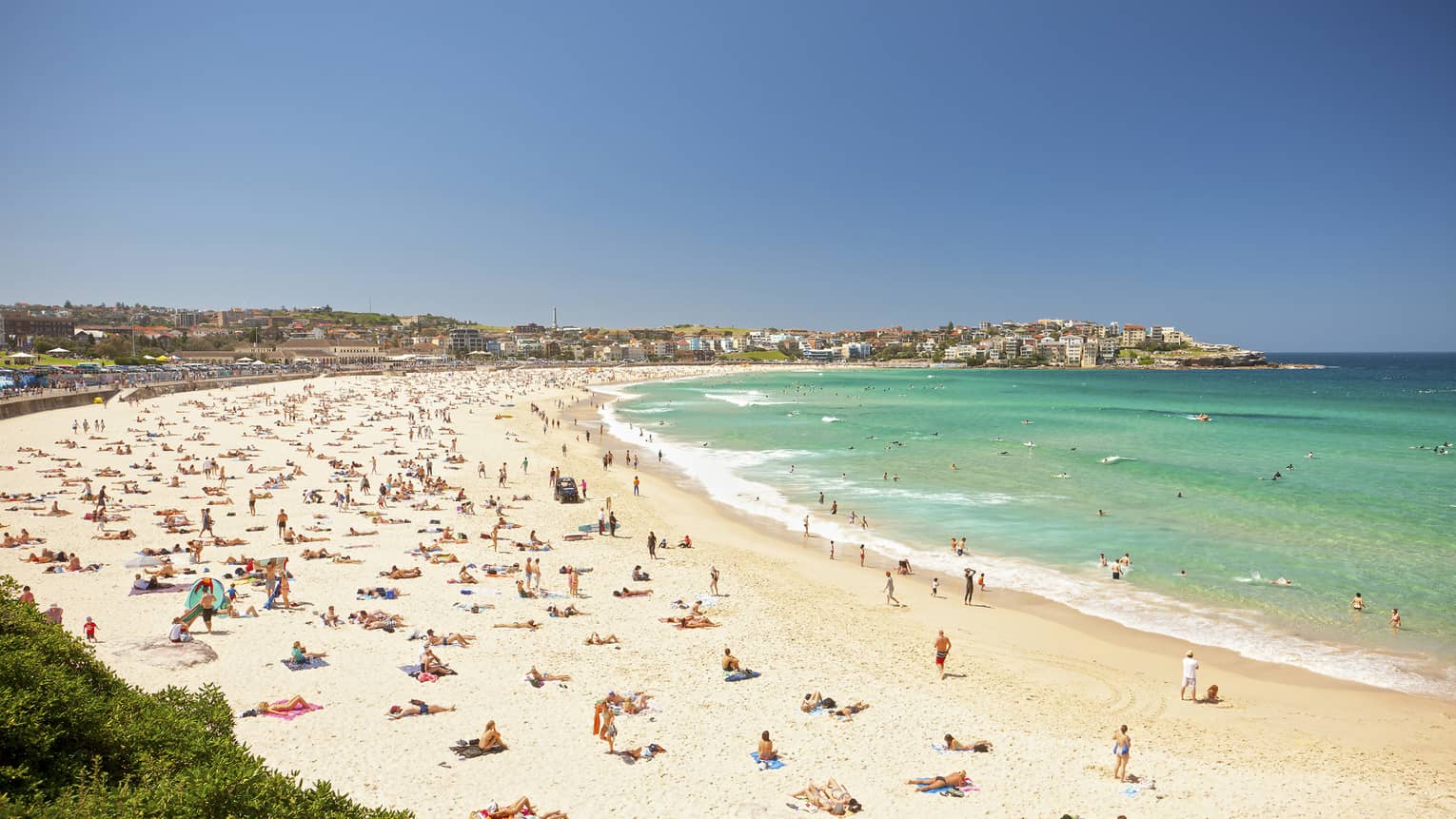 Aerial view of people sunbathing on busy Bondi Beach