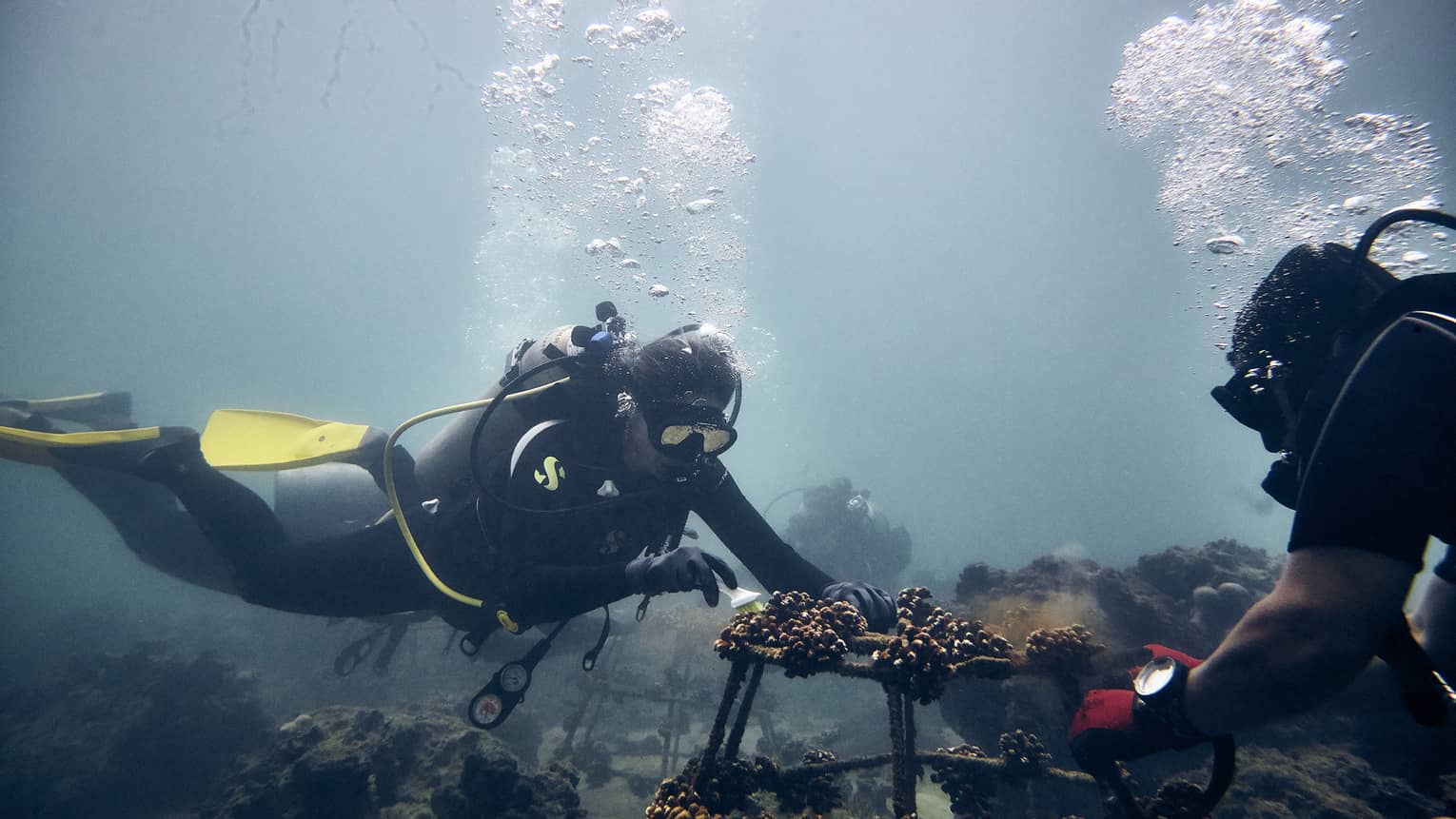 Two scuba divers inspect an underwater wreck