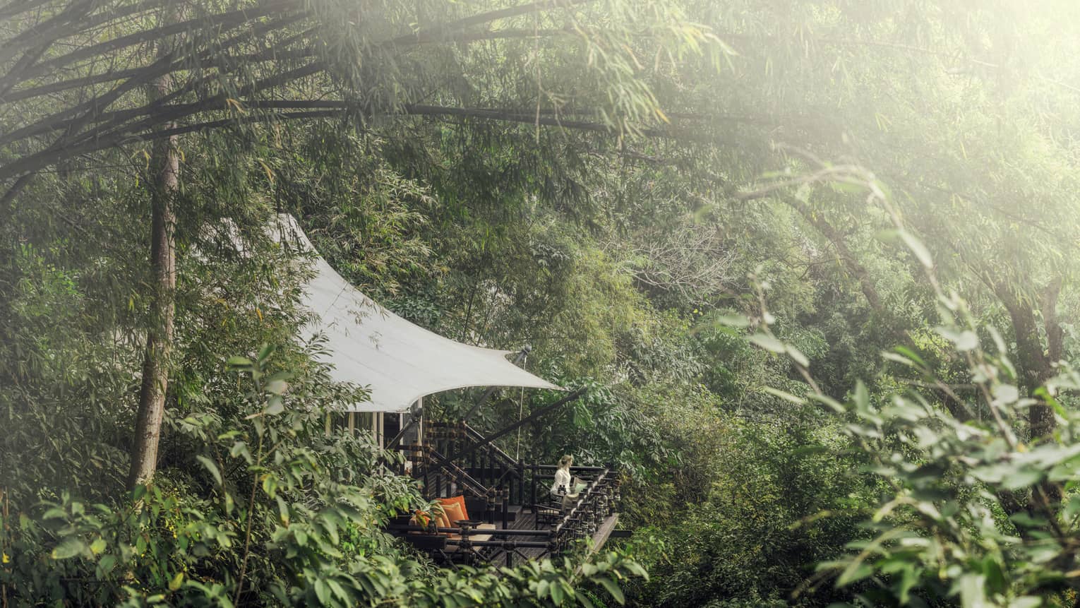 Woman stands on treetop terrace patio, surrounded by tropical forest