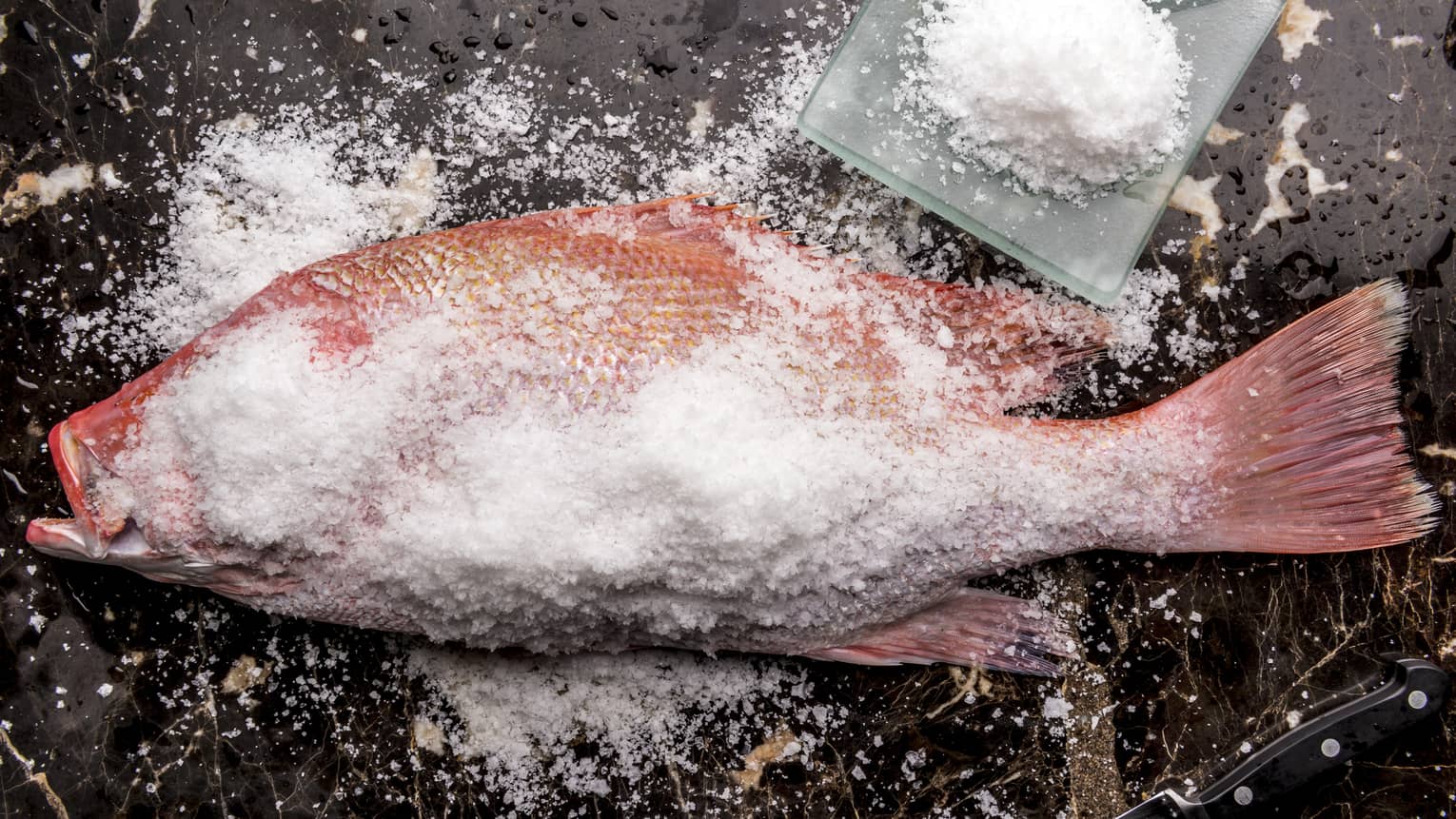 Whole red fish on table, covered in thick white rock salt 