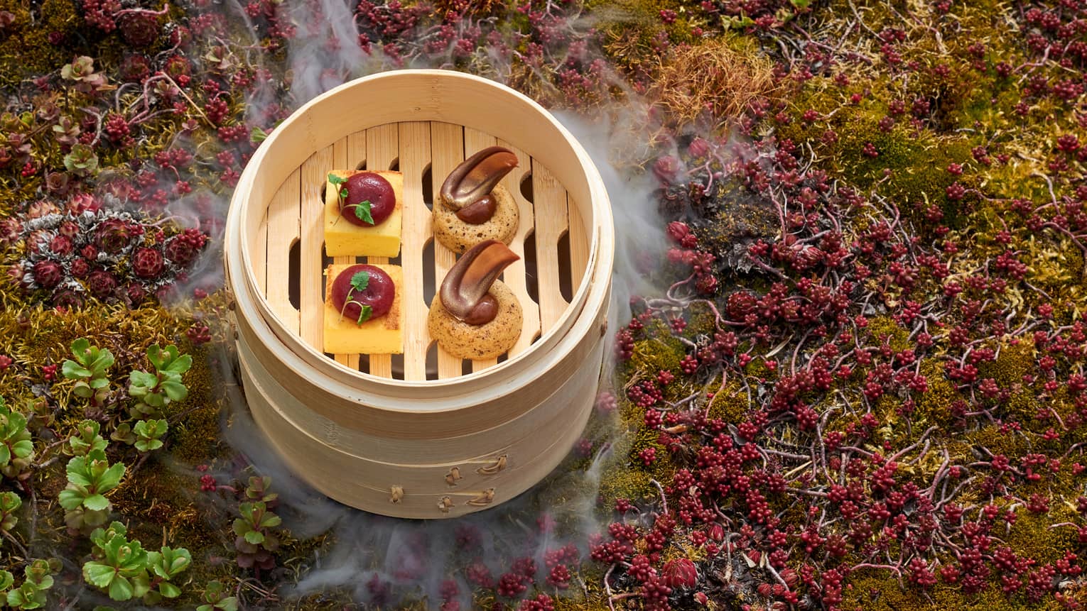 Four small bites set in top of bamboo steamer basket atop mossy area