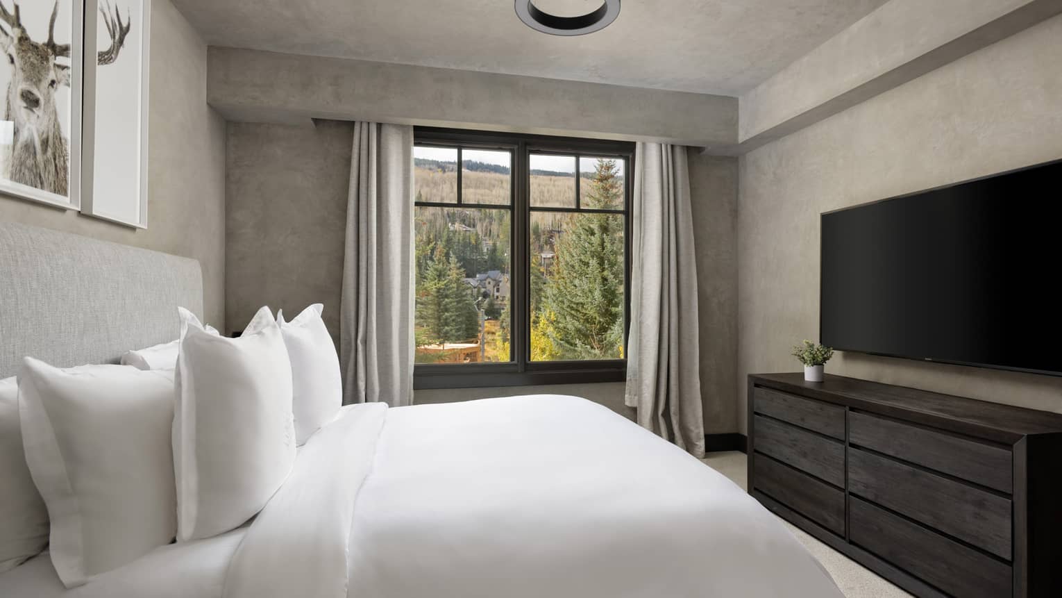 Bedroom with grey walls, white king bed, dark wood dresser, TV