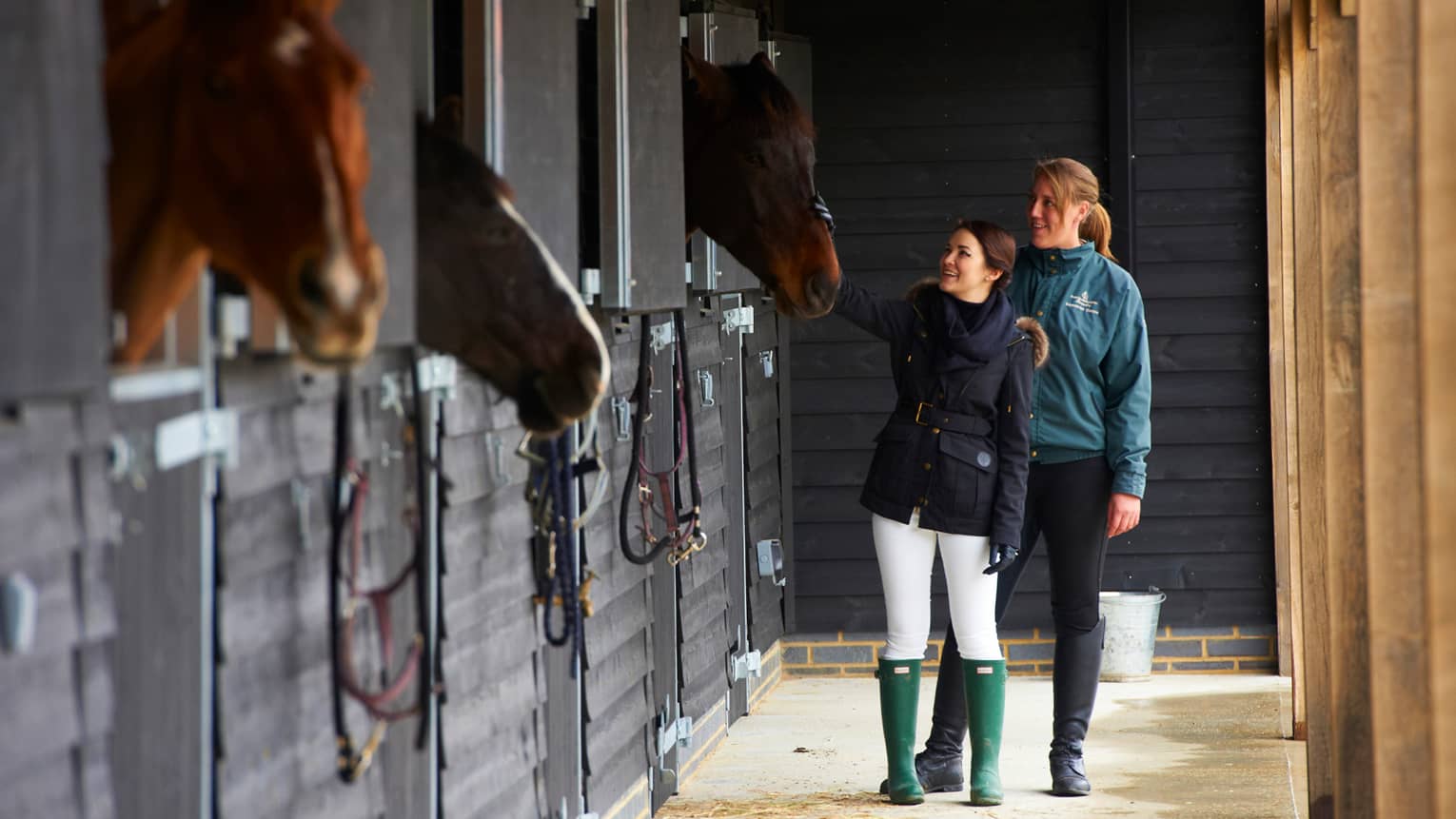 Two people visit with horses in stalls at The Dogmersfield Park Estate