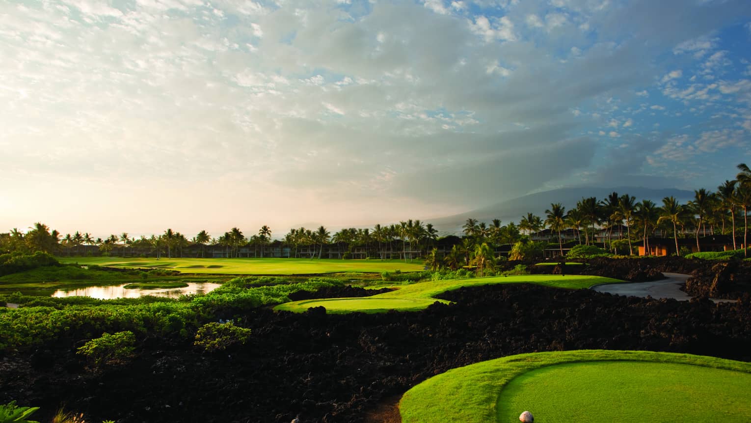 A picturesque golf course featuring bright green fairways, shrubs and distant palm trees under a rose-tinted clouded sky.