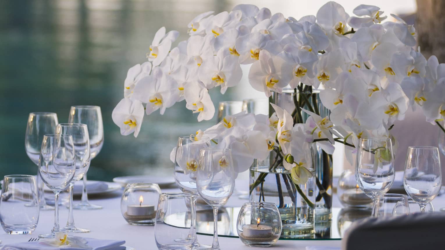 White orchids in vase on wedding dining table