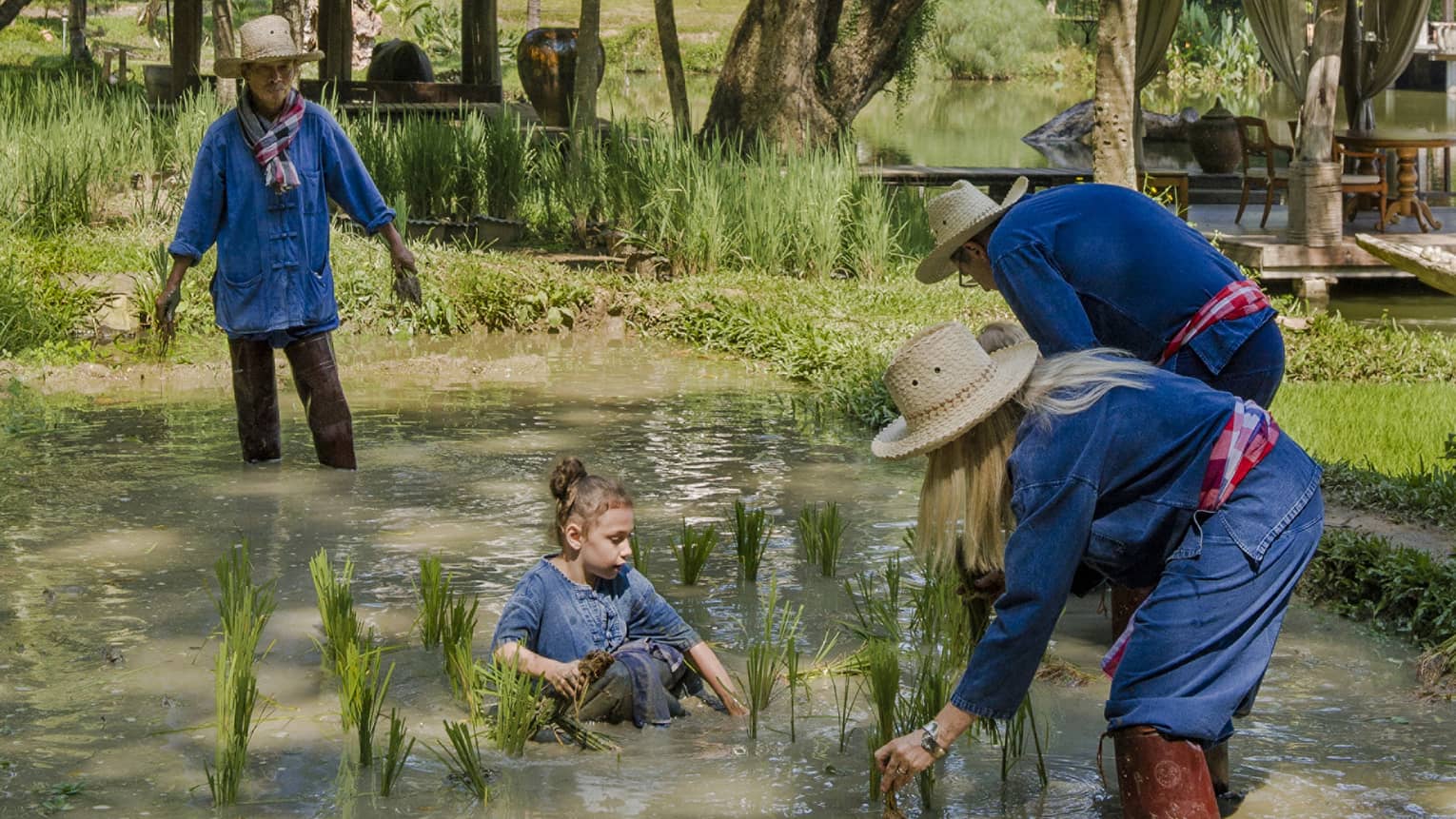 A family in navy blue standing in the brown waters of a rice patty beneath a palm tree. 