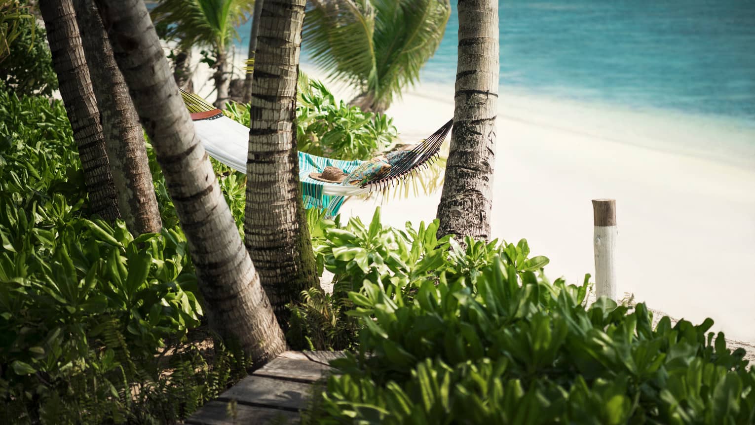 Colourful hammock hangs from between cluster of palm tree trunks near beach, ocean
