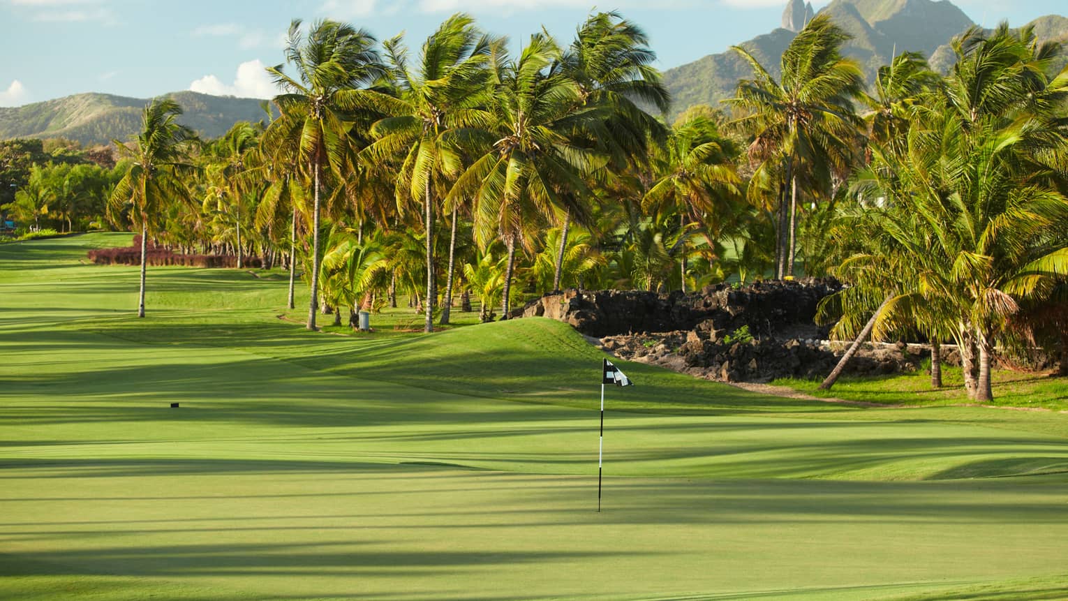 Flags on 10th hole of golf course with tropical palm trees lining green