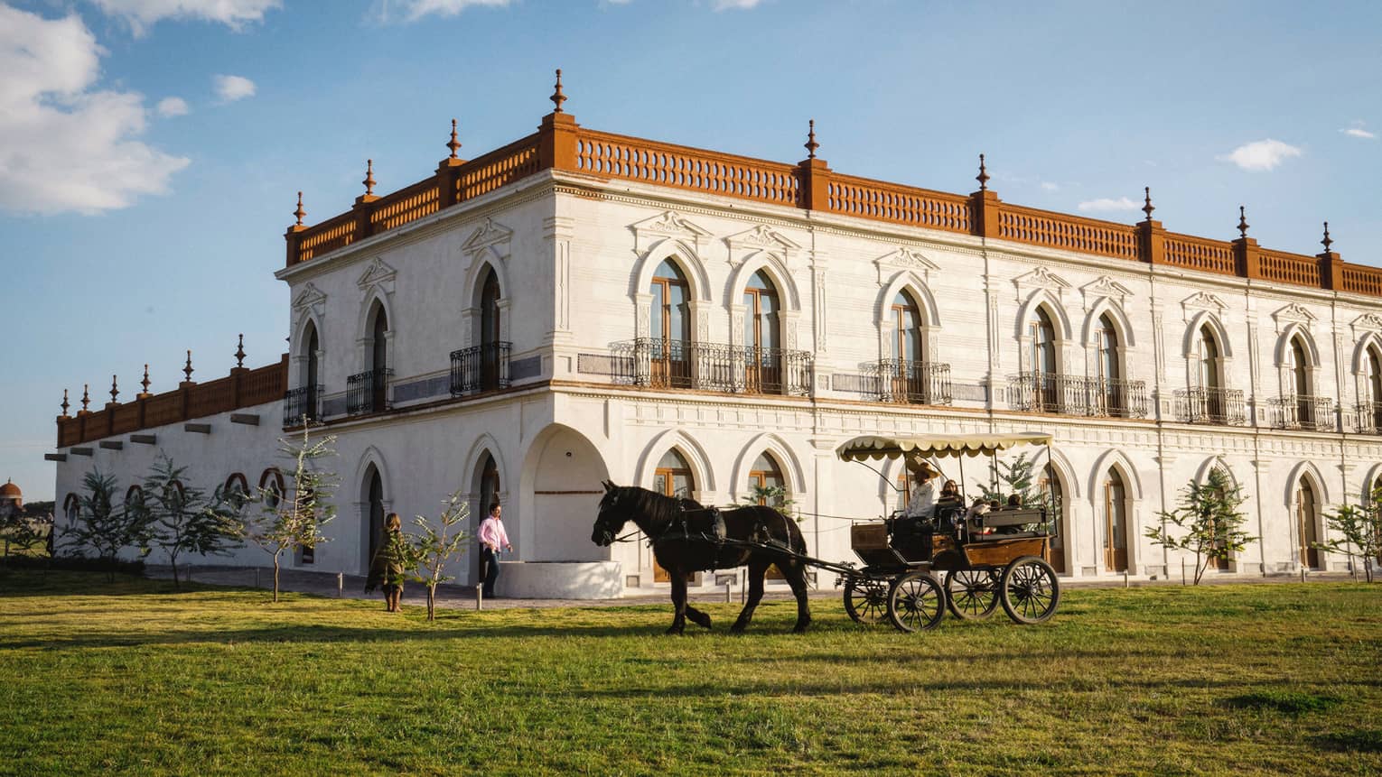 A horse pulling a carriages over grass outside of a large building.