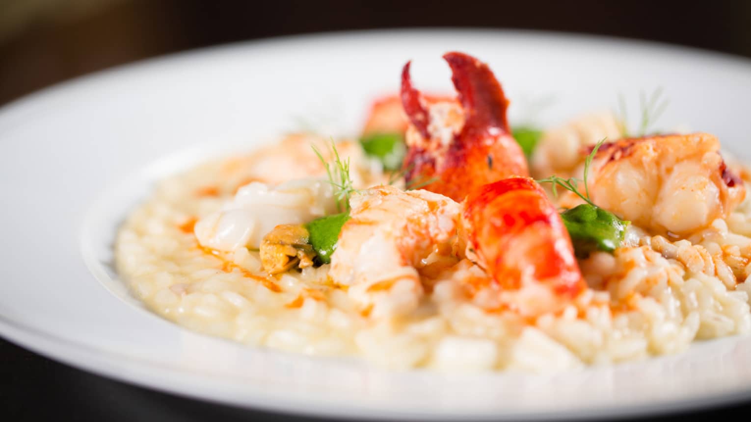 Creamy seafood risotto in white dish with lobster, prawns, langoustine and mussels