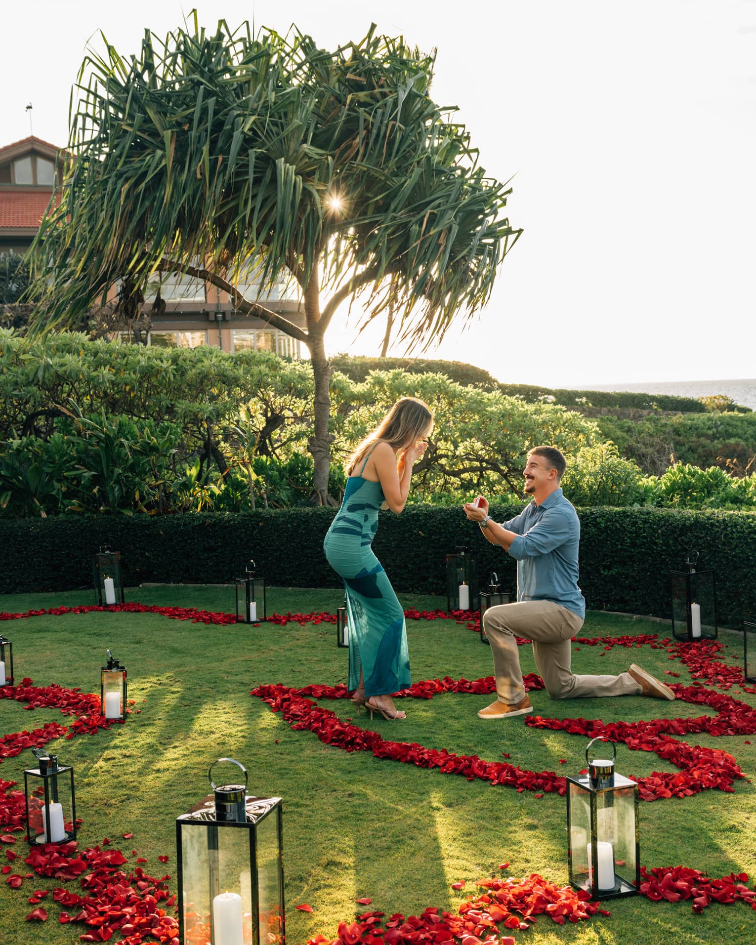 Man proposes to woman on one knee while in a tropical lawn scattered with rose petals
