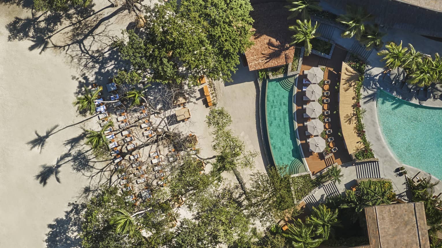 Aerial view of a row of white lounge chairs on the edge of a pool and walkways lined with tropical plants