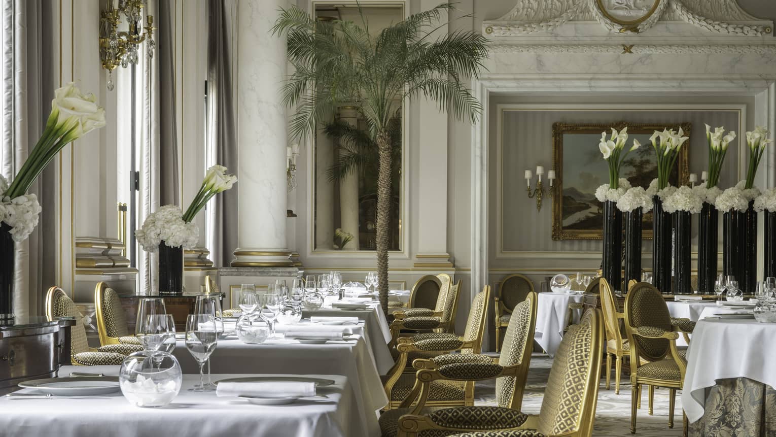 Interior view of elegant restaurant with gold upholstered chairs, white table clothes, white lilies, marble columns and molding